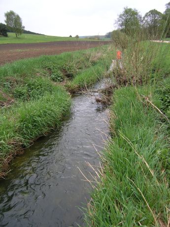 Picture of the measurement site