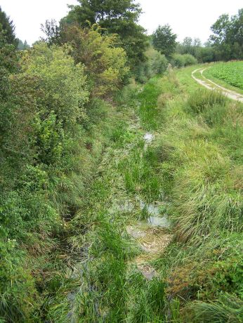 Picture of the measurement site