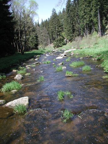 Picture of the measurement site