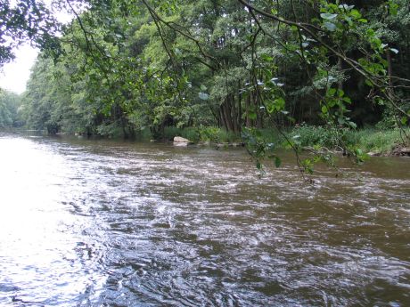 Picture of the measurement site