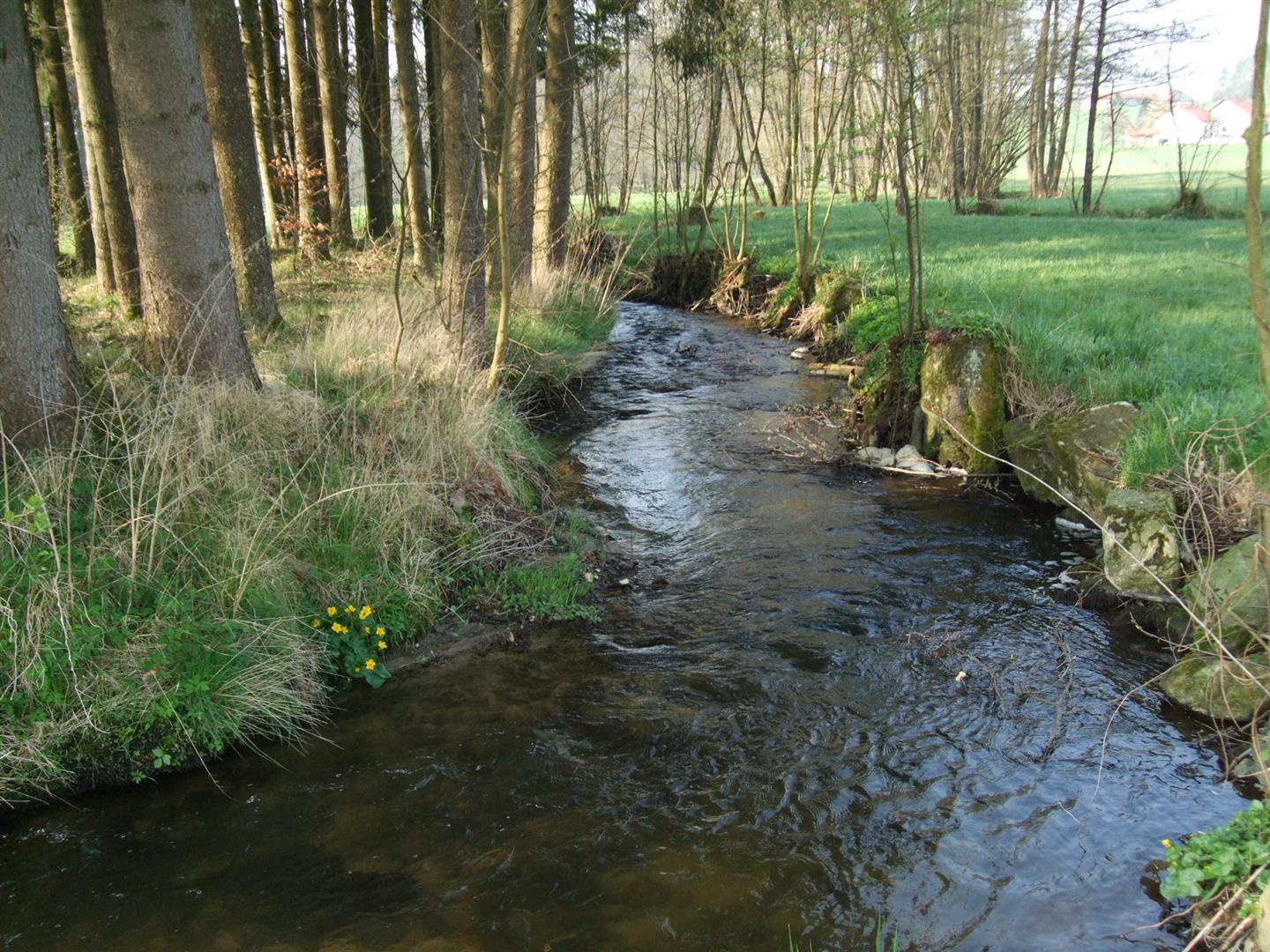 Picture of the measurement site