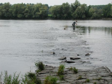 Picture of the measurement site