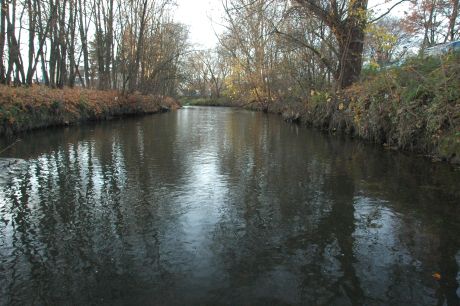 Picture of the measurement site