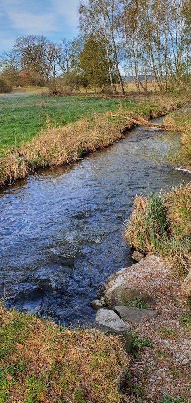 Picture of the measurement site