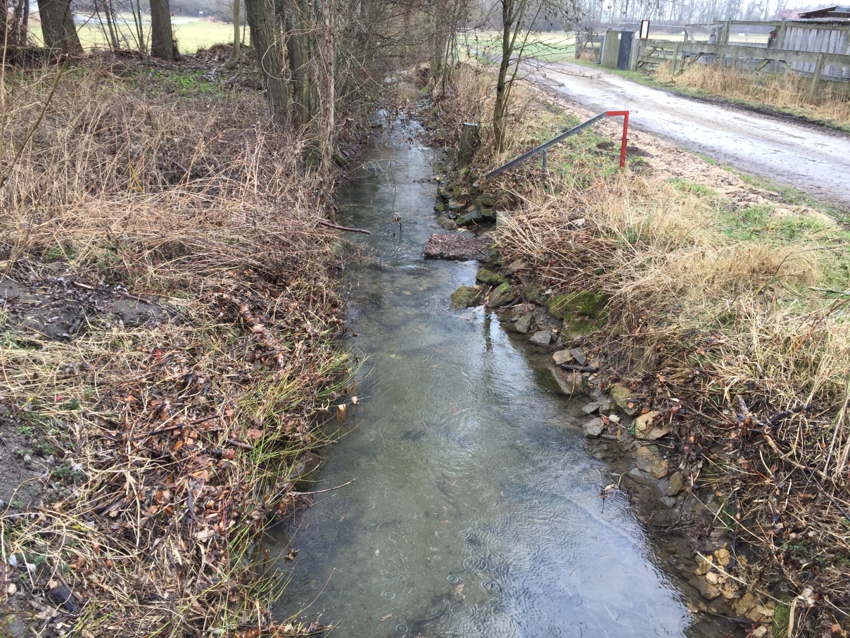 Picture of the measurement site