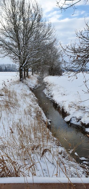 Picture of the measurement site