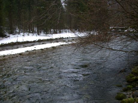 Picture of the measurement site