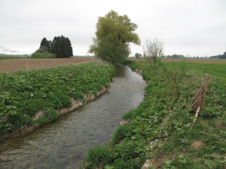 Picture of the measurement site