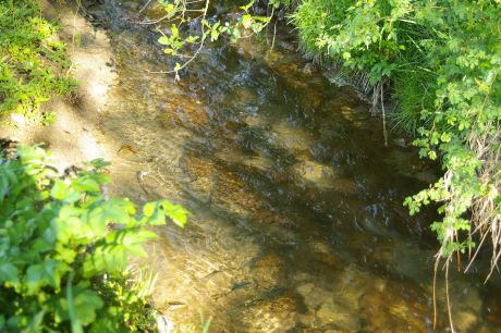 Picture of the measurement site