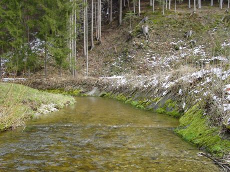 Picture of the measurement site