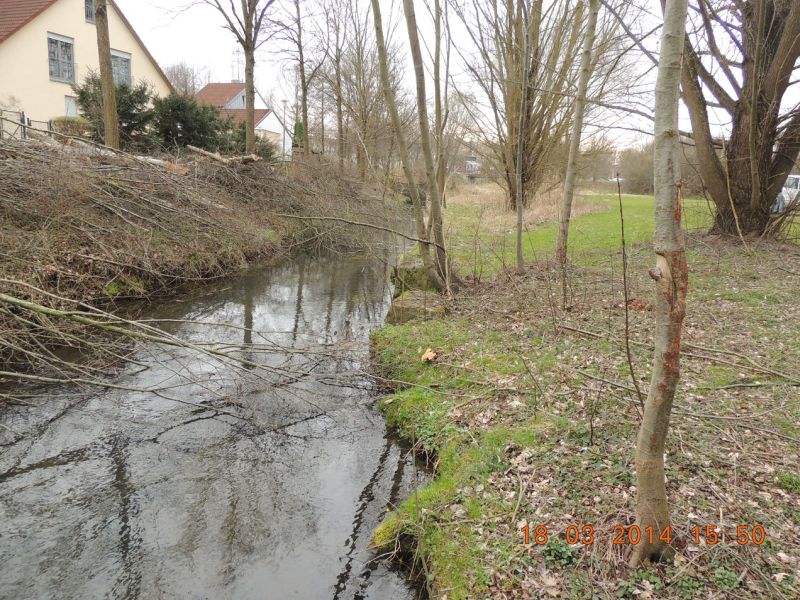 Picture of the measurement site
