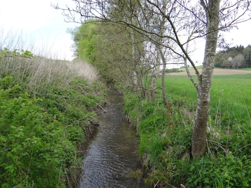 Picture of the measurement site