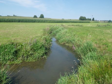 Picture of the measurement site