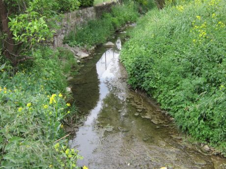 Picture of the measurement site