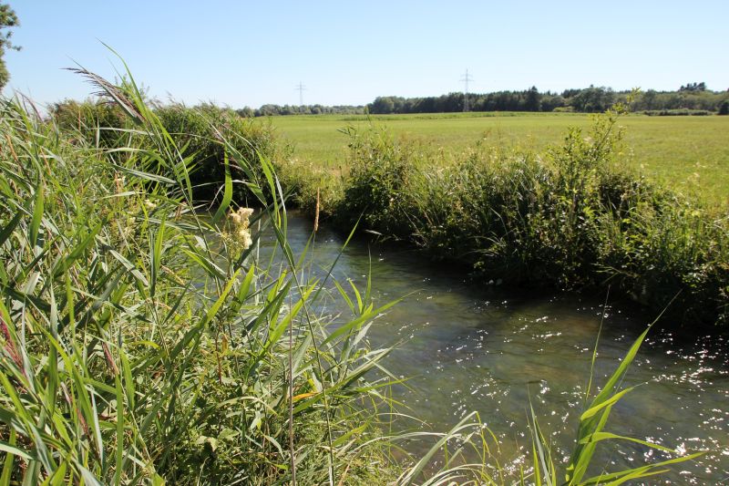 Picture of the measurement site