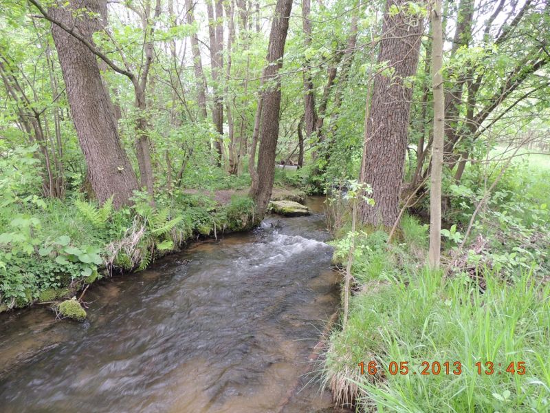 Picture of the measurement site