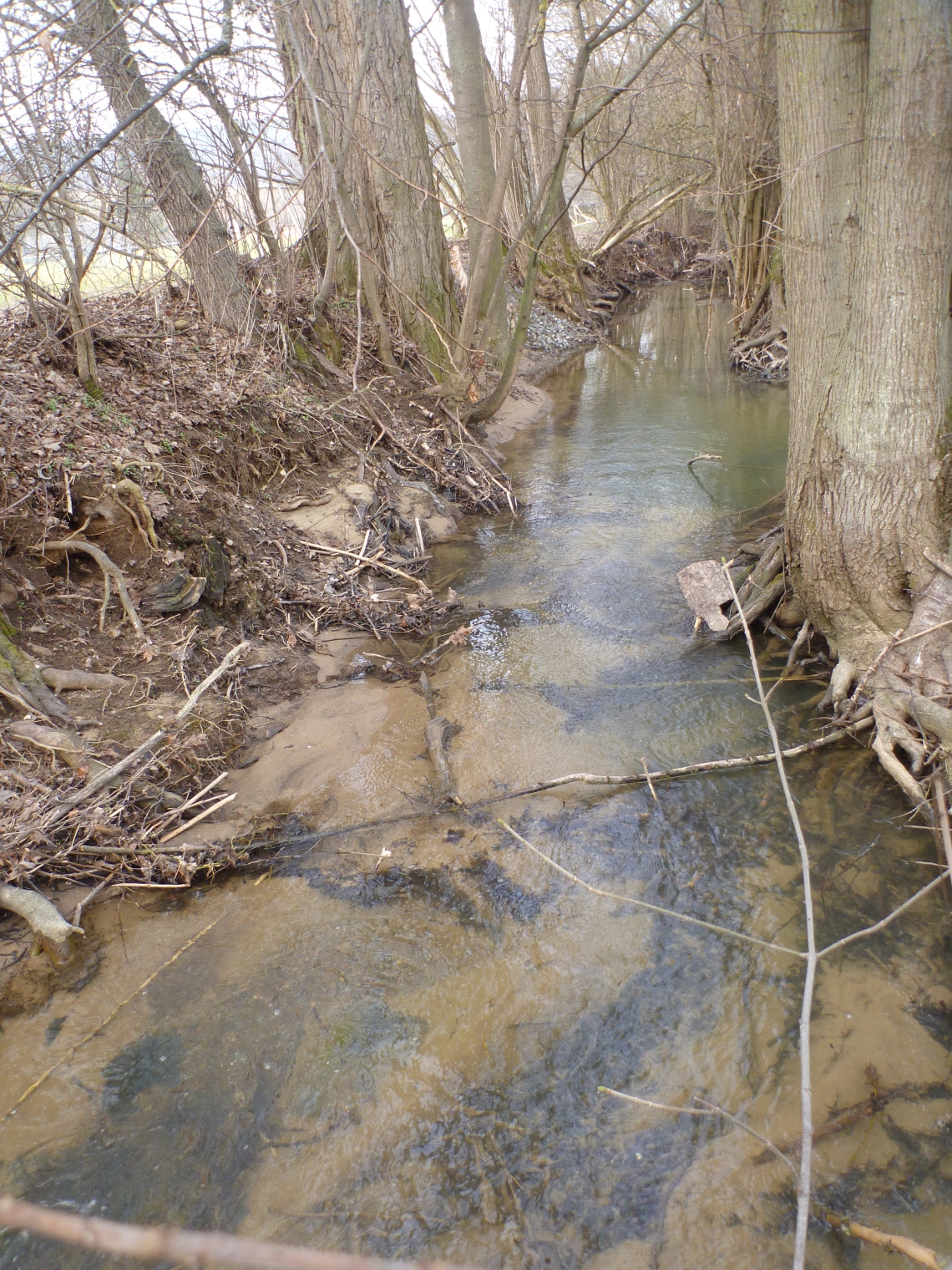 Picture of the measurement site