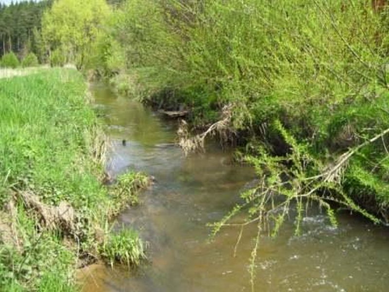 Picture of the measurement site