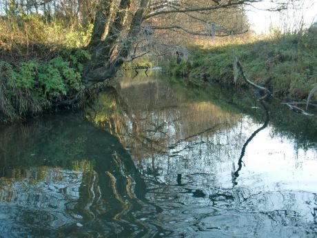 Picture of the measurement site