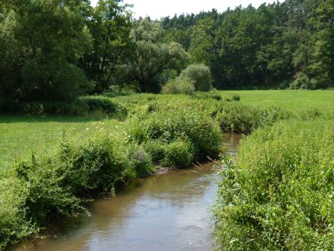 Picture of the measurement site