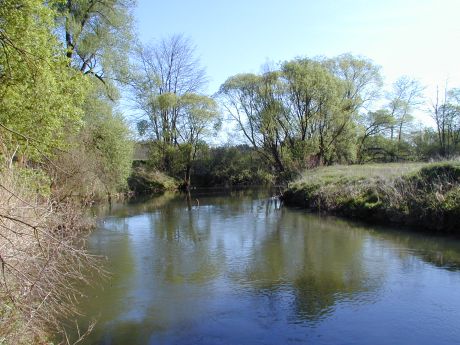 Picture of the measurement site