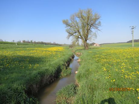 Picture of the measurement site