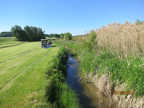 Picture of the measurement site