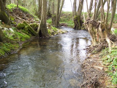 Picture of the measurement site