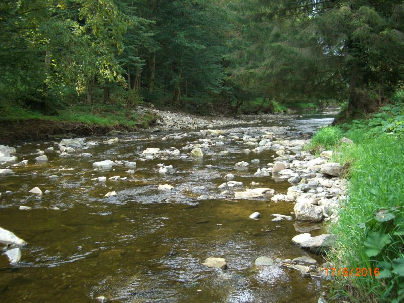 Picture of the measurement site