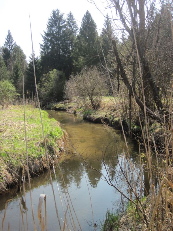 Picture of the measurement site