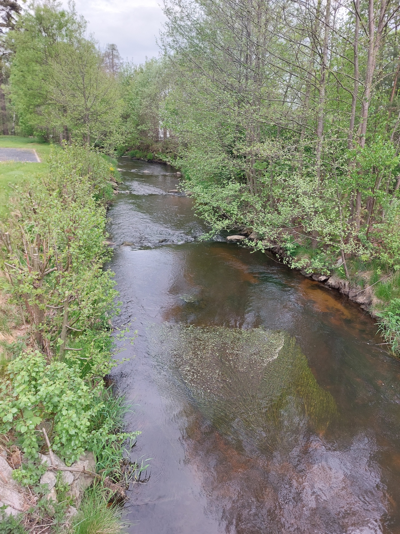 Picture of the measurement site