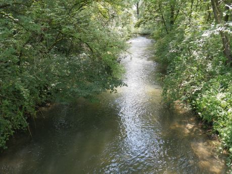 Picture of the measurement site