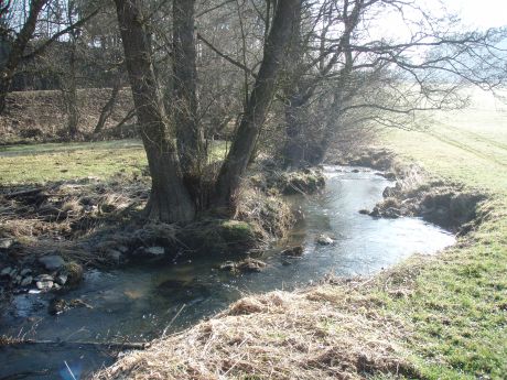 Picture of the measurement site