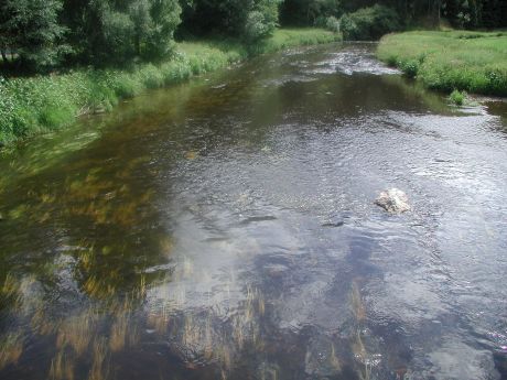 Picture of the measurement site