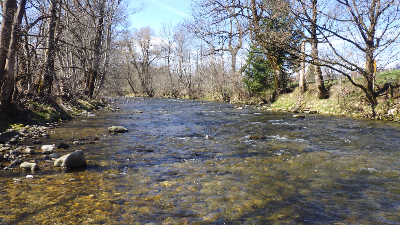 Picture of the measurement site