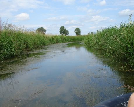 Picture of the measurement site