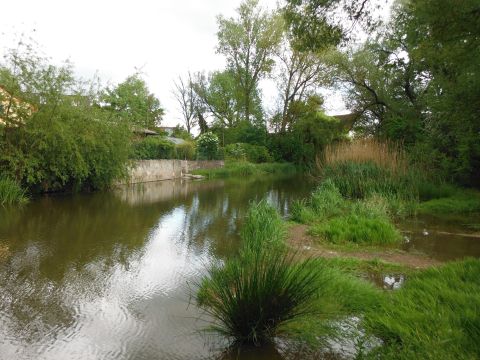 Picture of the measurement site