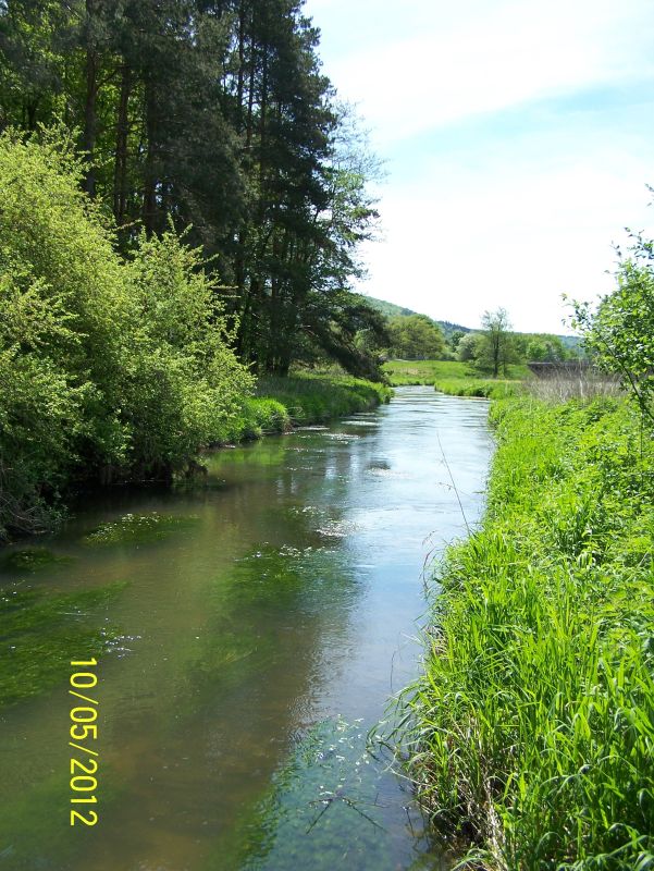 Picture of the measurement site