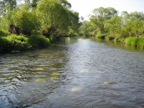 Picture of the measurement site