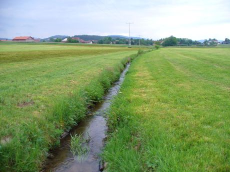 Picture of the measurement site