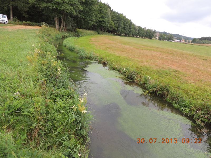 Picture of the measurement site