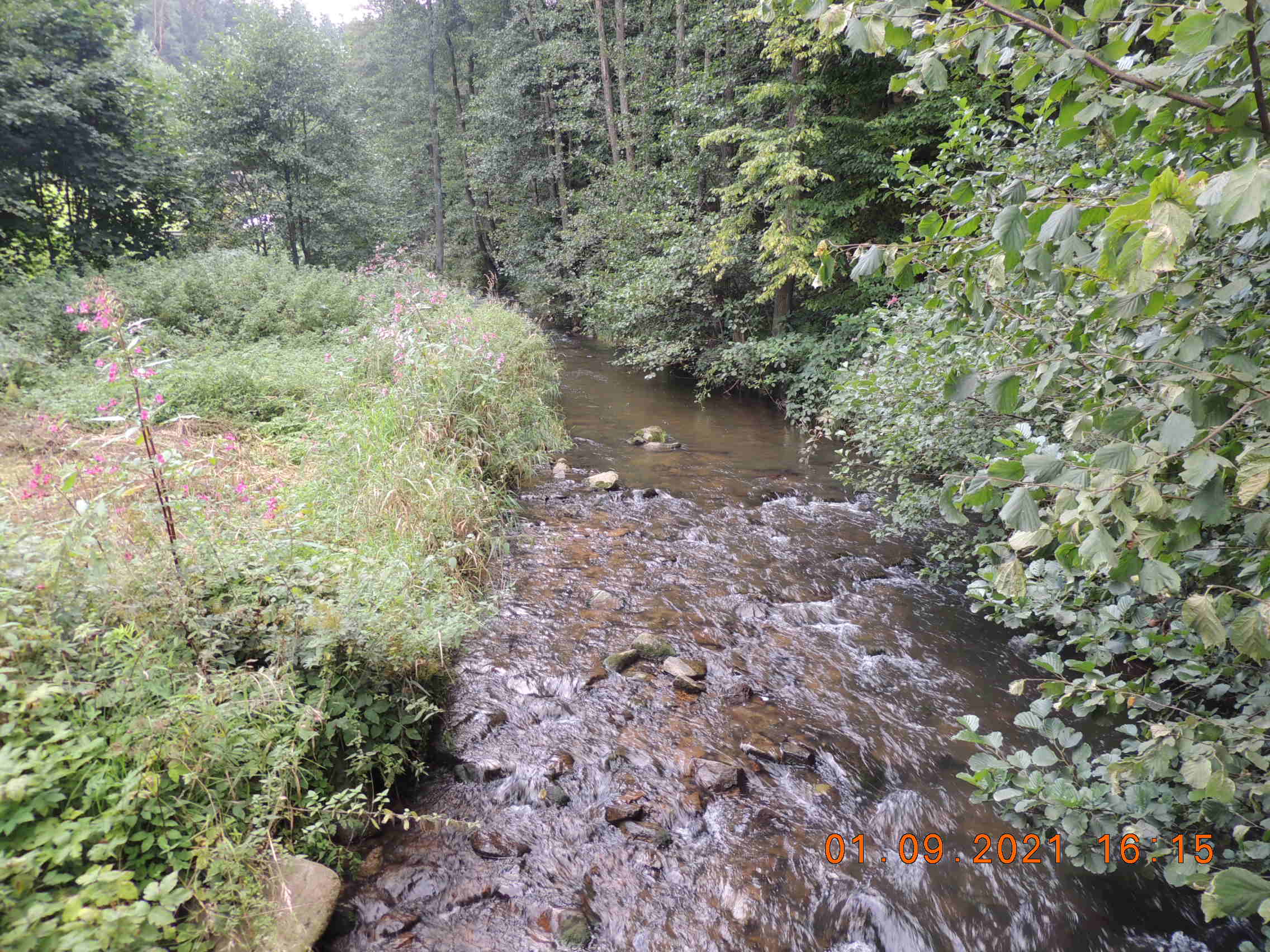 Picture of the measurement site