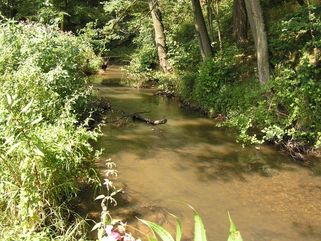 Picture of the measurement site