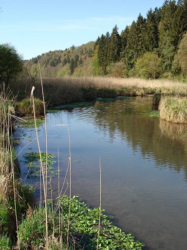Picture of the measurement site