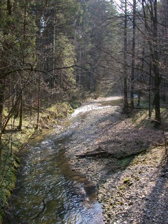 Foto der Messstelle