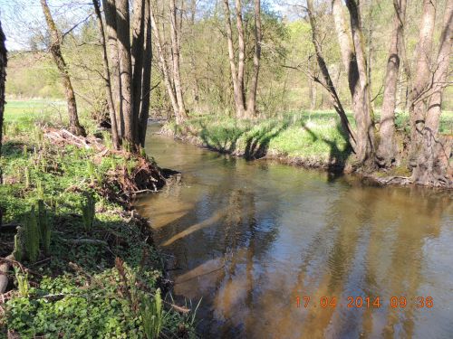 Picture of the measurement site